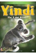 Watch Yindi the Last Koala Soap2day