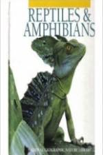Watch Reptiles and Amphibians Soap2day