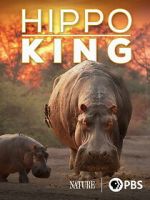 Watch Hippo King Soap2day