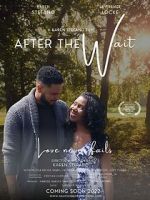 Watch After the Wait Soap2day