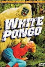 Watch White Pongo Soap2day