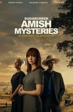 Watch Sugarcreek Amish Mysteries: Blessings in Disguise Soap2day
