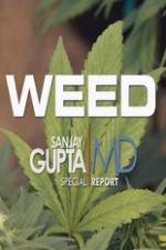 Watch CNN Weed Sanjay Gupta Report Soap2day