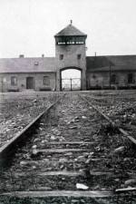 Watch AUSCHWITZ: FRENZIED KILLING Soap2day