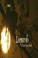 Watch National Geographic Wild - Leopards of Dead Tree Island Soap2day