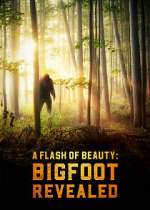 Watch A Flash of Beauty: Bigfoot Revealed Soap2day