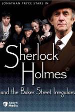 Watch Sherlock Holmes and the Baker Street Irregulars Soap2day