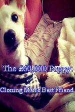 Watch The £60,000 Puppy: Cloning Man's Best Friend Soap2day