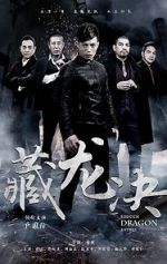 Watch Hidden Dragon Battle Soap2day