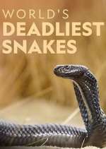 Watch World's Deadliest Snakes Soap2day