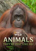 Watch Animals, They\'re Just Like Us! Soap2day