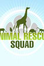 Watch Animal Rescue Squad Soap2day