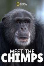 Watch Meet the Chimps Soap2day