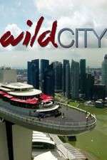Watch Wild City Soap2day