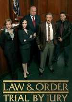 Watch Law & Order: Trial by Jury Soap2day