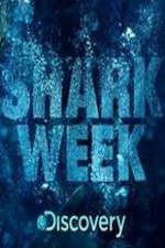 Watch Shark Week Soap2day