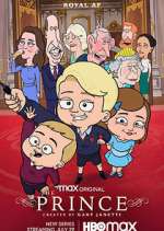 Watch The Prince Soap2day