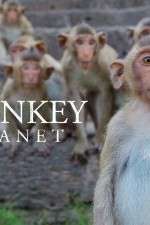 Watch Monkey Planet Soap2day