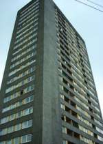 Watch High Times Soap2day