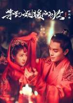 Watch Buried City to Shut All Lights Soap2day