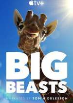Watch Big Beasts Soap2day