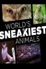 Watch World's Sneakiest Animals Soap2day