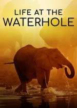 Watch Life at the Waterhole Soap2day