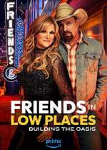 Watch Friends in Low Places Soap2day