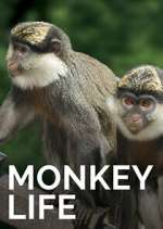 Watch Monkey Life Soap2day