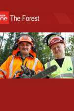 Watch The Forest Soap2day
