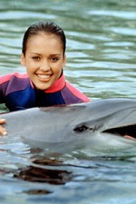 Watch Flipper (The New Adventures of Flipper) Soap2day