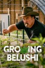 Watch Growing Belushi Soap2day