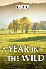 Watch A Year in the Wild Soap2day