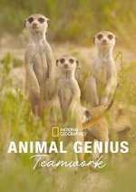 Watch Animal Genius Soap2day