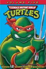 Watch Teenage Mutant Ninja Turtles Soap2day