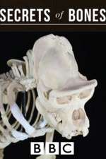 Watch Secrets of Bones Soap2day
