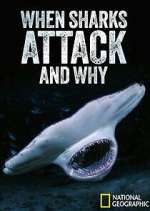 Watch When Sharks Attack... And Why Soap2day