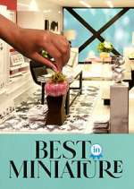 Watch Best in Miniature Soap2day