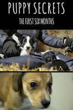 Watch Puppy Secrets: The First Six Months Soap2day