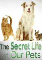 Watch The Secret Life of Our Pets Soap2day