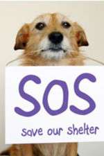 Watch Save Our Shelter Soap2day