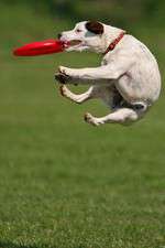 Watch Dogs 101: New Tricks Soap2day