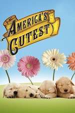 Watch America's Cutest Soap2day