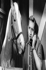 Watch Countdown to... Soap2day