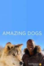 Watch Amazing Dogs Soap2day