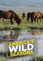 Watch America's Wild Seasons Soap2day
