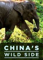 Watch China's Wild Side Soap2day