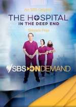 Watch The Hospital: In the Deep End Soap2day