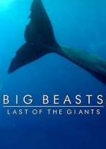 Watch Big Beasts: Last of the Giants Soap2day