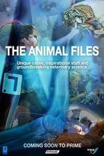 Watch The Animal Files Soap2day